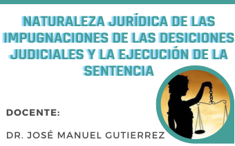 NATURALEZA JURÍDICA DE LAS IMPUGNACIONES DE LAS DESICIONES JUDICIALES Y LA EJECUCIÓN DE LA SENTENCIA