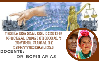 TEORÍA GENERAL DEL DERECHO PROCESAL CONSTITUCIONAL Y CONTROL PLURAL DE CONSTITUCIONALIDAD