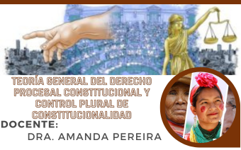 TEORÍA GENERAL DEL DERECHO PROCESAL CONSTITUCIONAL Y CONTROL PLURAL DE CONSTITUCIONALIDAD