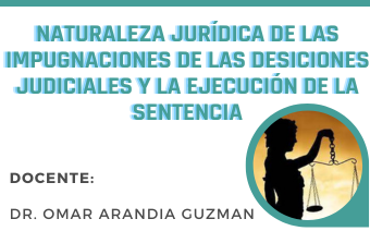 NATURALEZA JURÍDICA DE LAS IMPUGNACIONES DE LAS DECISIONES JUDICIALES Y LA EJECUCIÓN DE LA SENTENCIA