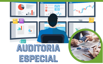 AUDITORÍA ESPECIAL