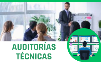 AUDITORÍAS TÉCNICAS