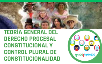 TEORÍA GENERAL DEL DERECHO PROCESAL CONSTITUCIONAL Y CONTROL PLURAL DE CONSTITUCIONALIDAD