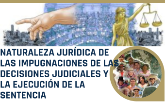 NATURALEZA JURÍDICA DE LAS IMPUGNACIONES DE LAS DECISIONES JUDICIALES Y LA EJECUCIÓN DE LA SENTENCIA