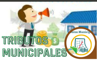 TRIBUTOS MUNICIPALES