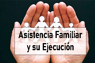 ASISTENCIA FAMILIAR Y SU EJECUCIÓN 