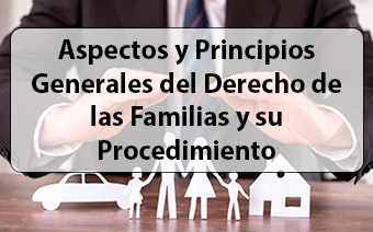 Aspectos y Principios Generales del Derecho de las Familias y su Procedimiento